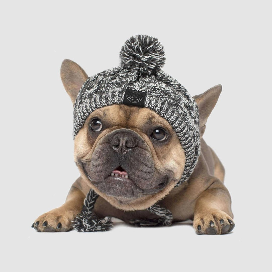 Gorro de punto con pompón para perro pequeño (foto del fabricante)
