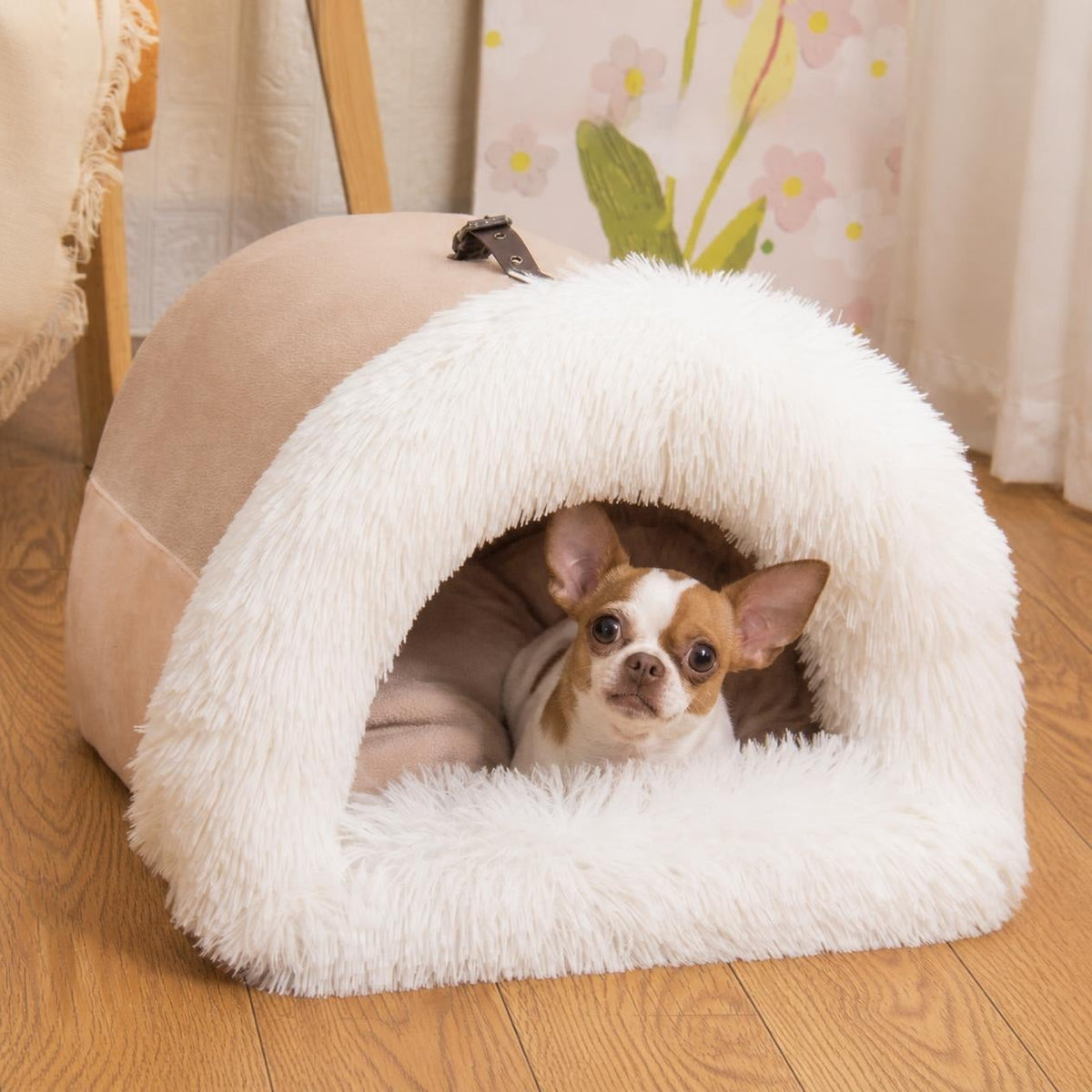 Paris, chihuahua, en la cama cueva de borreguito (imagen creada con IA)
